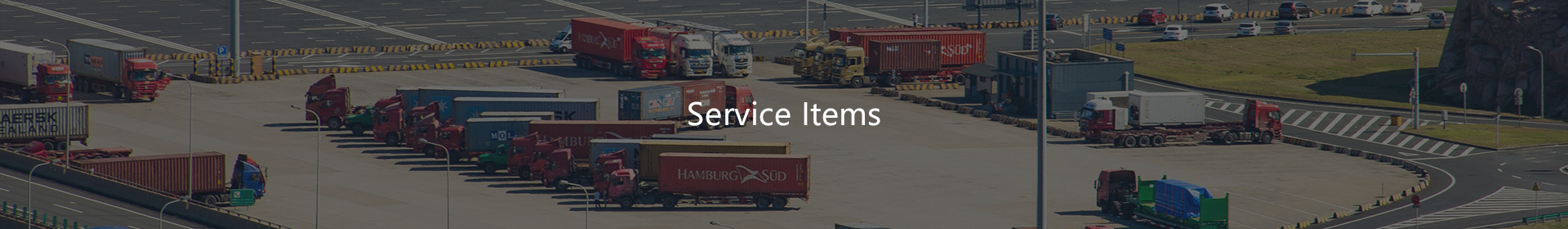Service Items