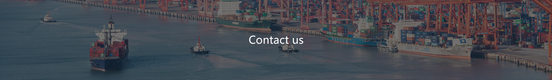 Contact Us